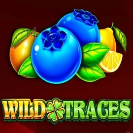 Play the Wild Traces slot by Amusnet Interactive on Bonuskong Casino